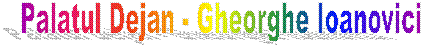 Palatul Dejan - Gheorghe Ioanovici